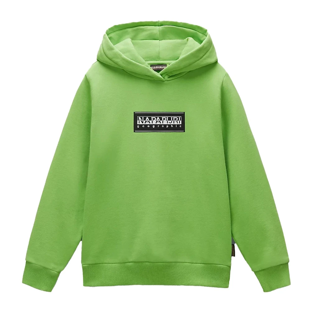 Napapijri Barn Chamois Hoodie Sweatshirt Green, Unisex