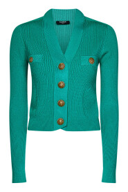 Grüner Pullover mit Löwenknöpfen