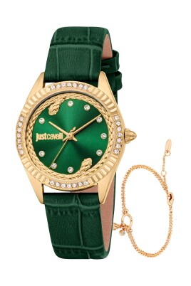 elegant-quartz-watch-with-leather-strap