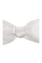 papillon-en-soie