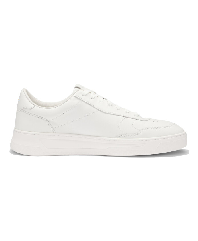 stylish-sneaker