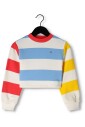 bold-stripe-crew-sweater