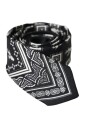 cravate-en-soie-ajustable-avec-details-du-logo