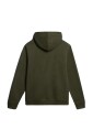 green-flag-hoodie-burgee-style