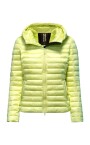 bright-nylon-hooded-jacket-with-synthetic-padding