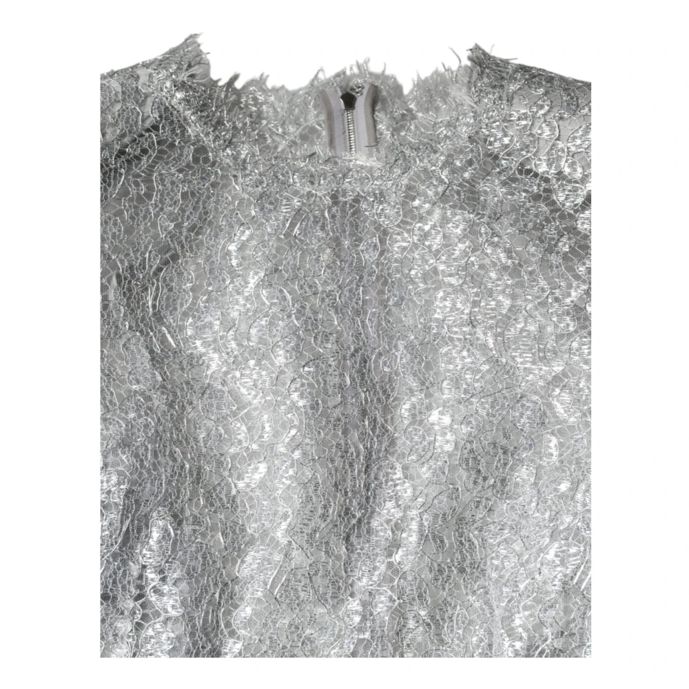 Dolce & Gabbana Zilveren Bloemenkant Sheath Midi Jurk Gray Dames