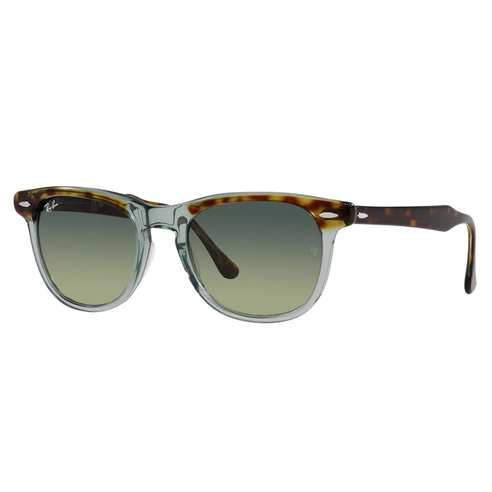 Ray-Ban Unisex Brown Stylish Sunglasses With Vibrant Lenses