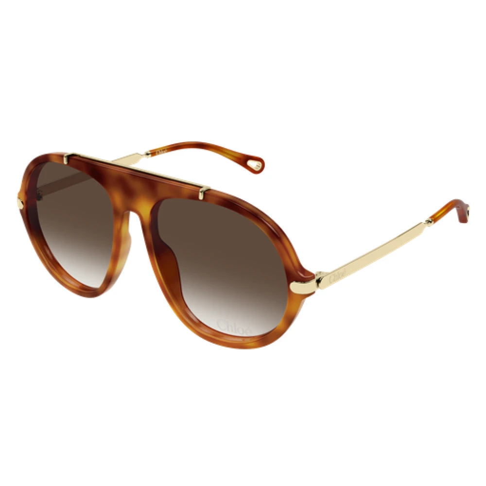 Chloé Women's Brown Sunglasses - Sunglasses - 58 Mm- Accessories