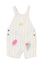 regenboog-streep-ijs-overall