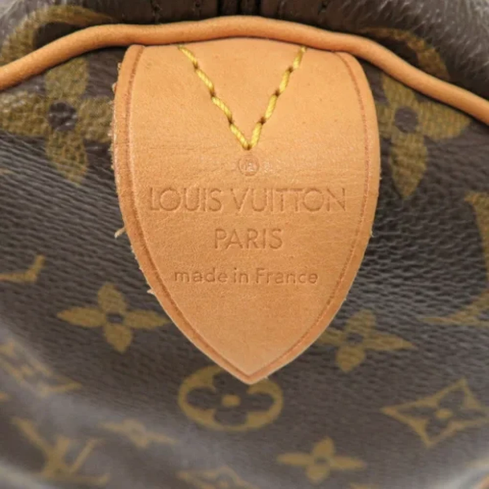 Louis Vuitton Vintage Pre-owned Canvas handbags Brown Dames