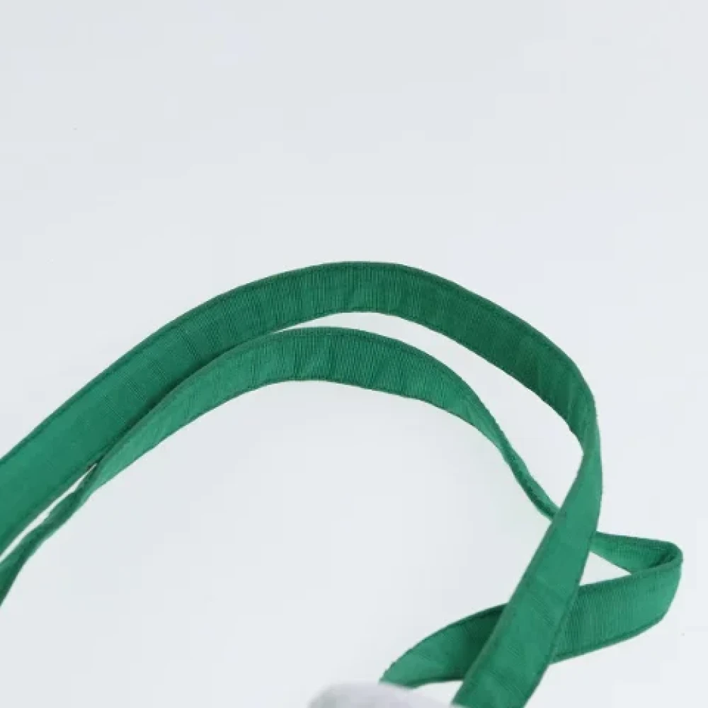 Fendi Vintage Pre-owned Nylon fendi-bags Green Dames