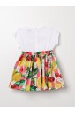 elegant-fruit-print-dress