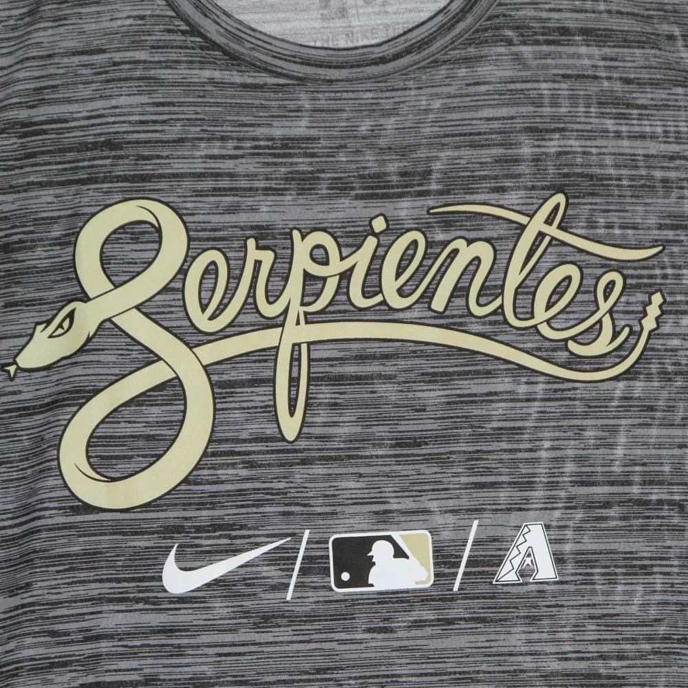 Nike Arizona Diamondbacks Baseball Tee Gray Heren