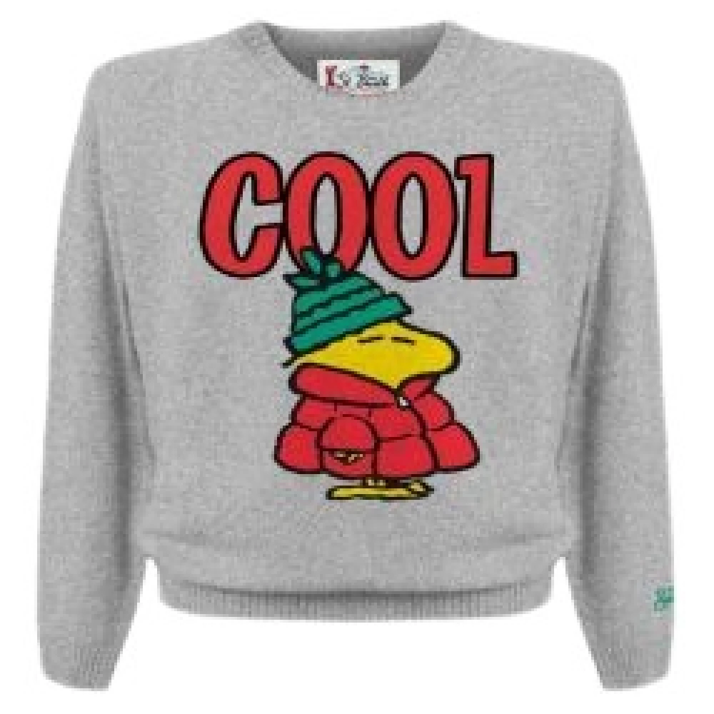 MC2 Saint Barth Stijlvolle Sweaters Collectie Gray Heren