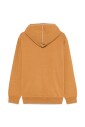 sweat-a-capuche-marron