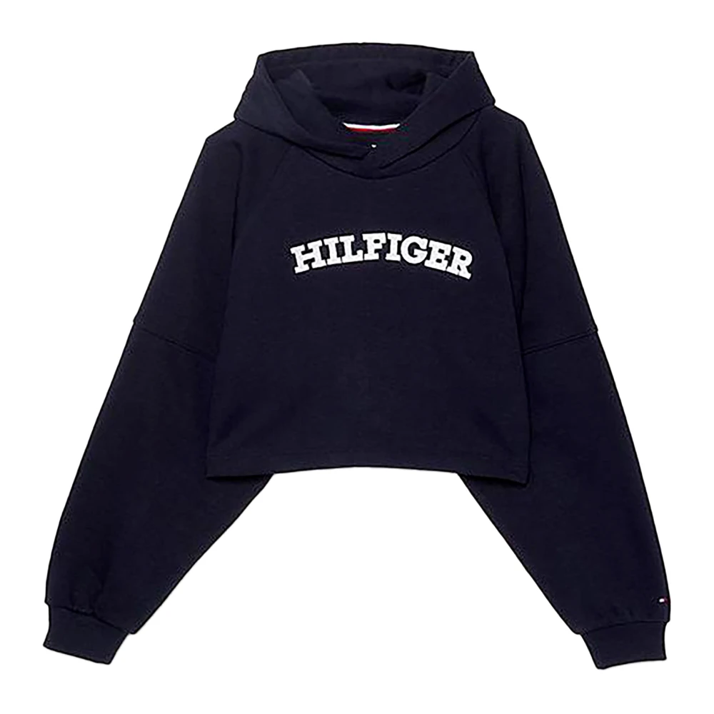 Tommy Hilfiger Stilig Hoodie för Män Blue, Pojke