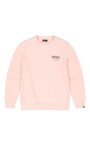 pulls-dand-39-equipe-de-college-de-land-39-armee-en-rose