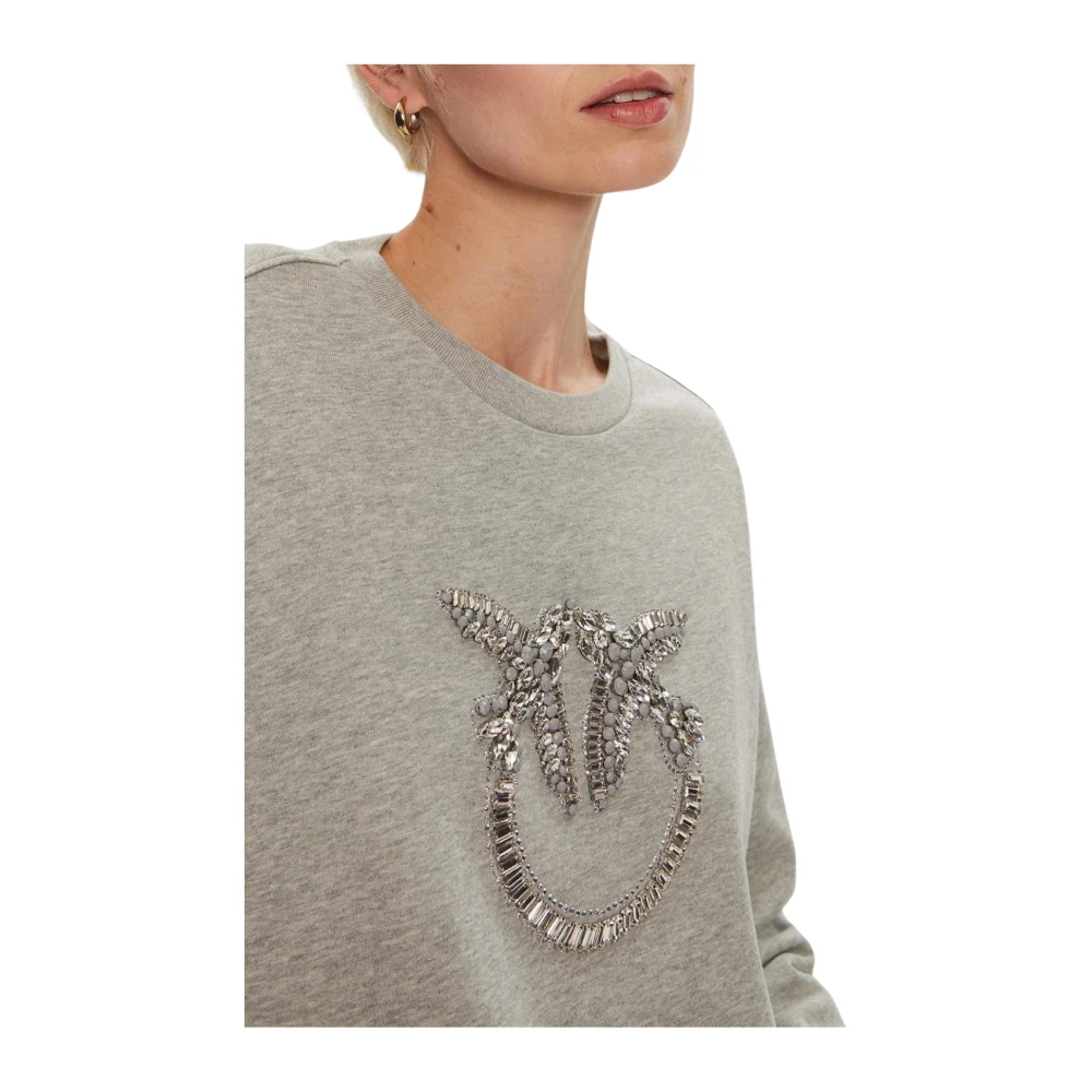 pinko Vogels Logo Sweater Grijs Regen Gray Dames