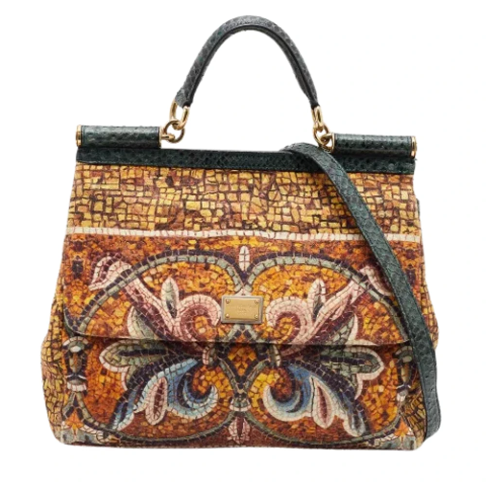 Dolce & Gabbana Pre-owned Canvas handbags Multicolor Dames