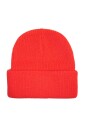 animal-farm-beanie-hat-red-logo