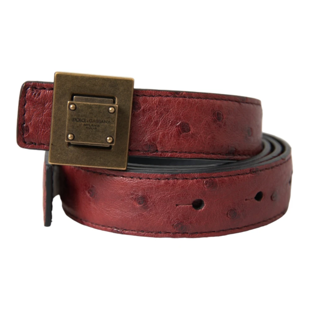 Dolce & Gabbana Unisex Marrone Accessori, Taglia Unica, New,