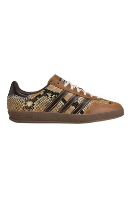 Gazelle Indoor Rattlesnake