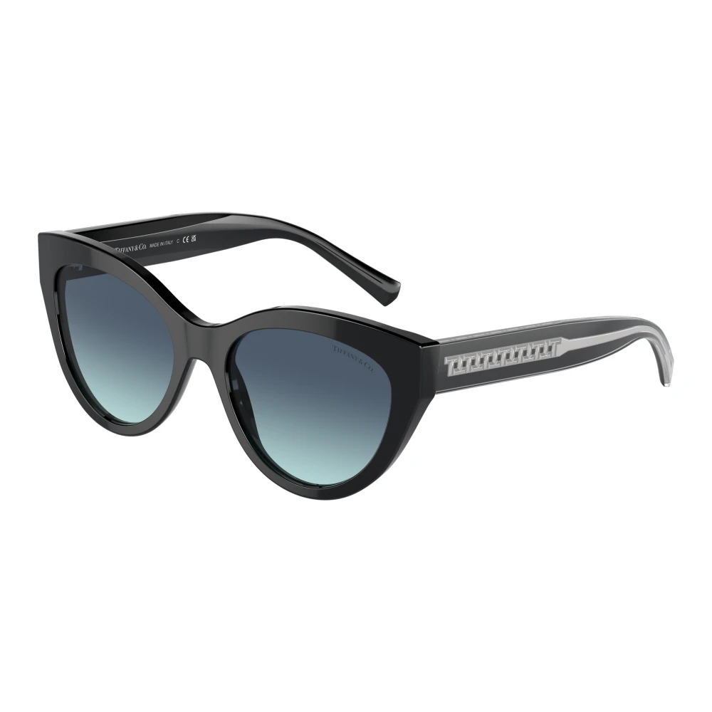 Tiffany Women's Black Sunglasses