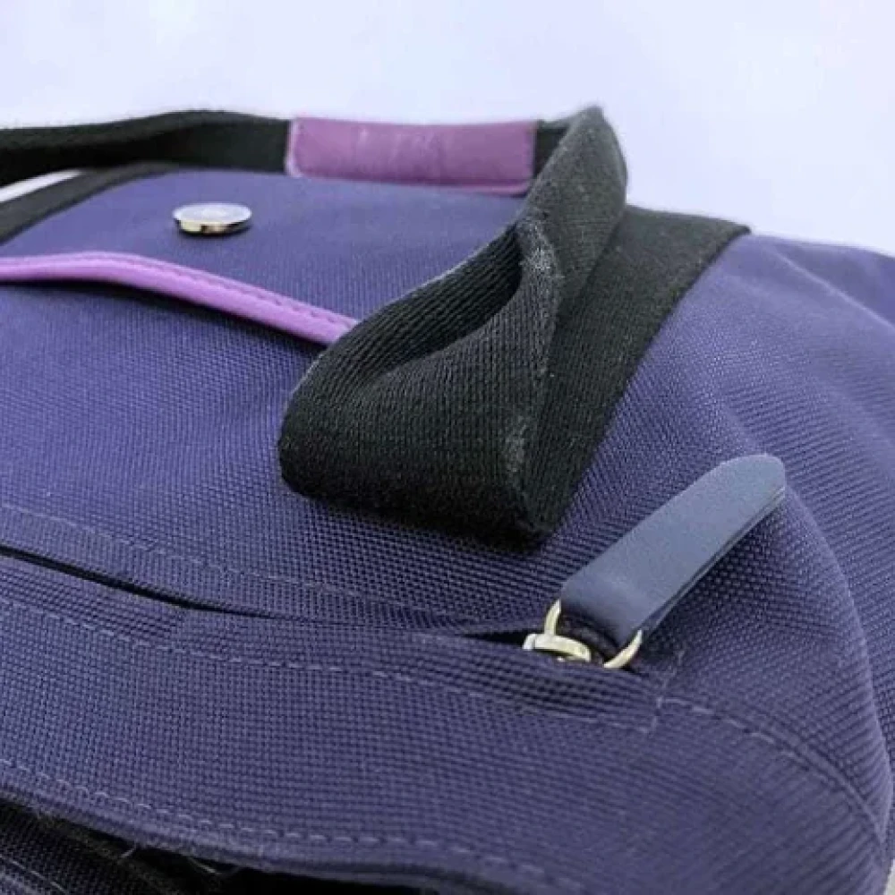 Loewe Pre-owned Canvas handbags Purple Dames