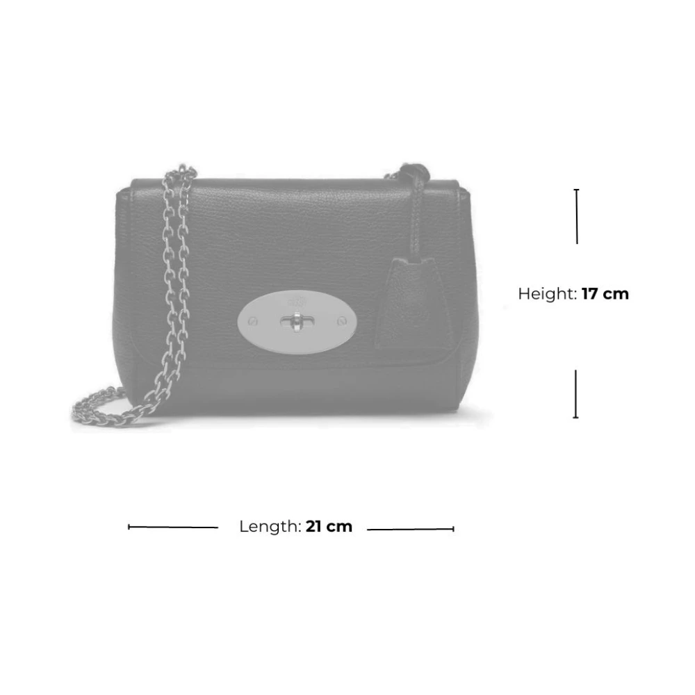 Mulberry Elegante Lily Groene Leren Tas Green Dames