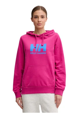 Logo Hoodie 2.0