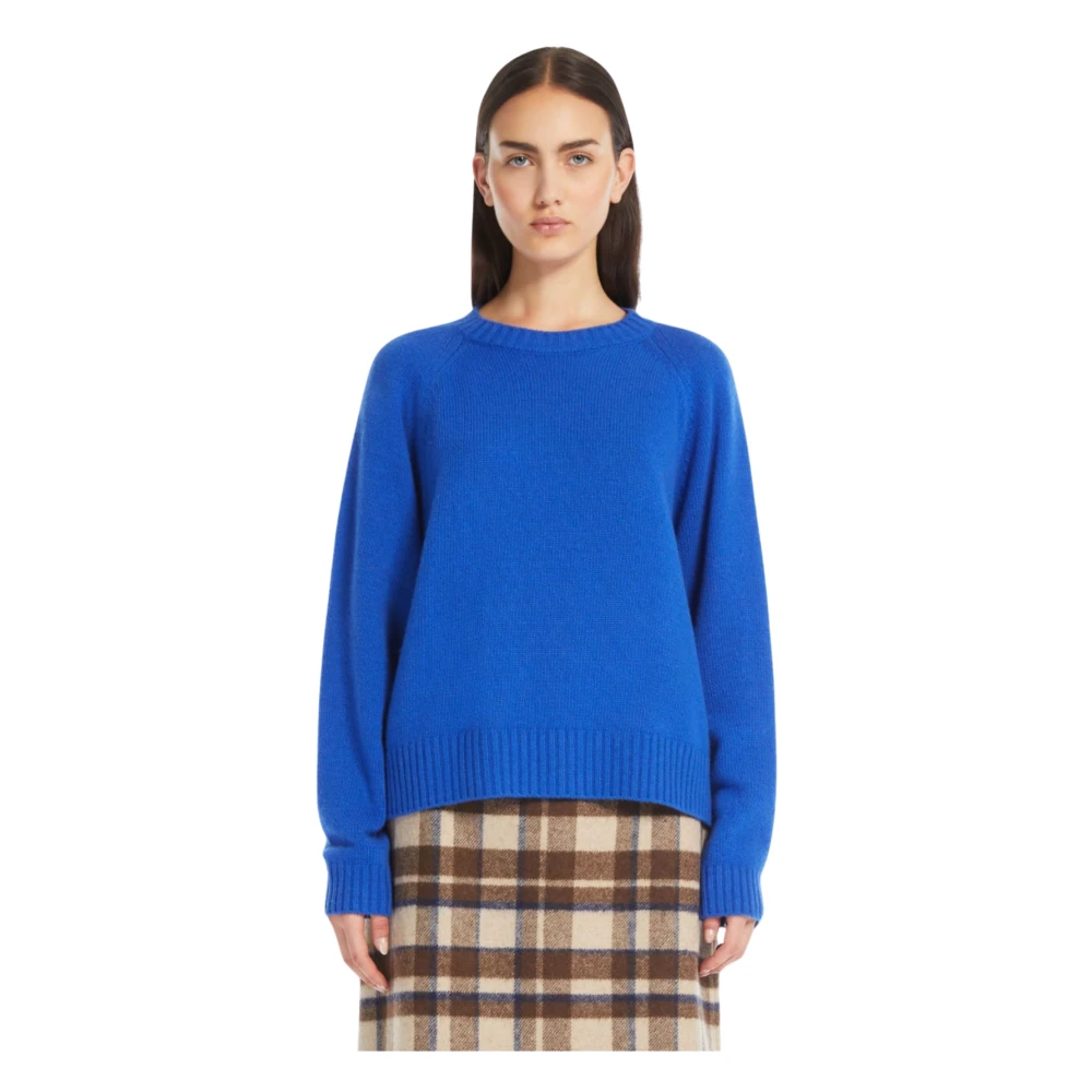 Max Mara Weekend Blauwe Trui met Ribdetails Blue Dames