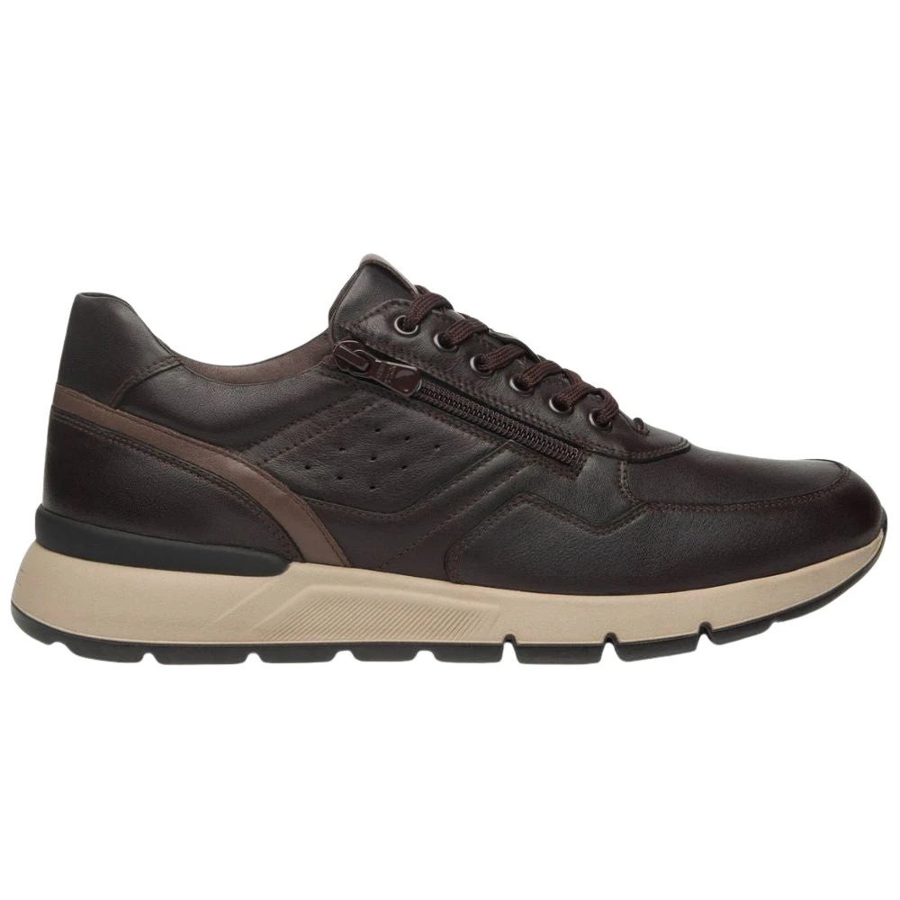 Nerogiardini Sneakers Heren Schoenen Bruin