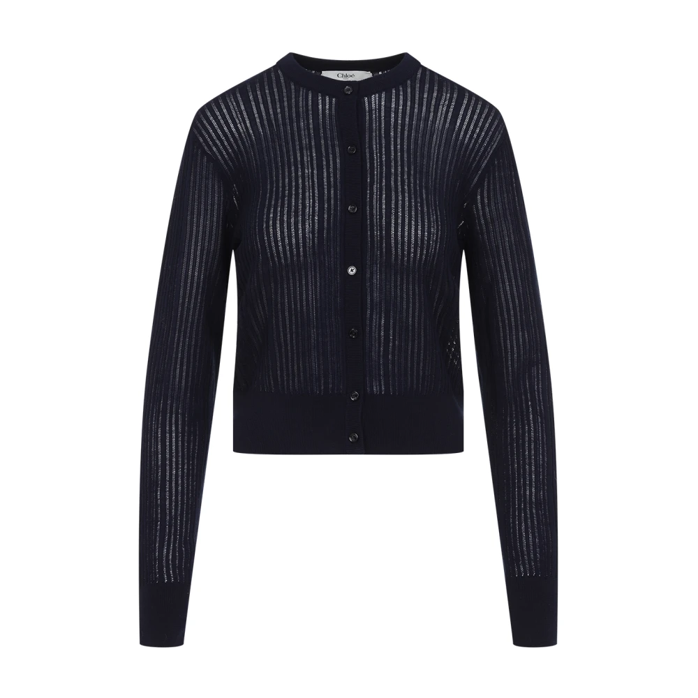 Chloé Blauwe Wollen Trui Elegante Stijl Blue Dames
