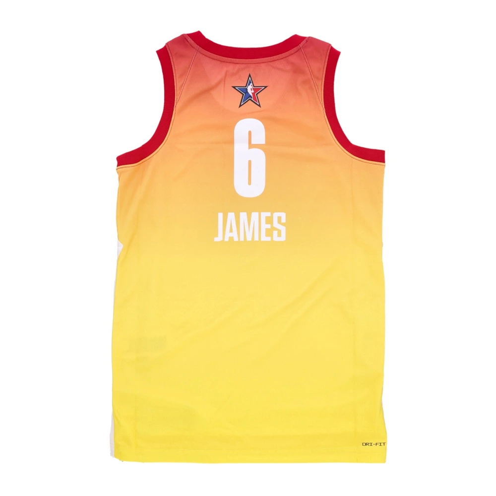 Nike All Star Basketbal Tanktop Multicolor Heren