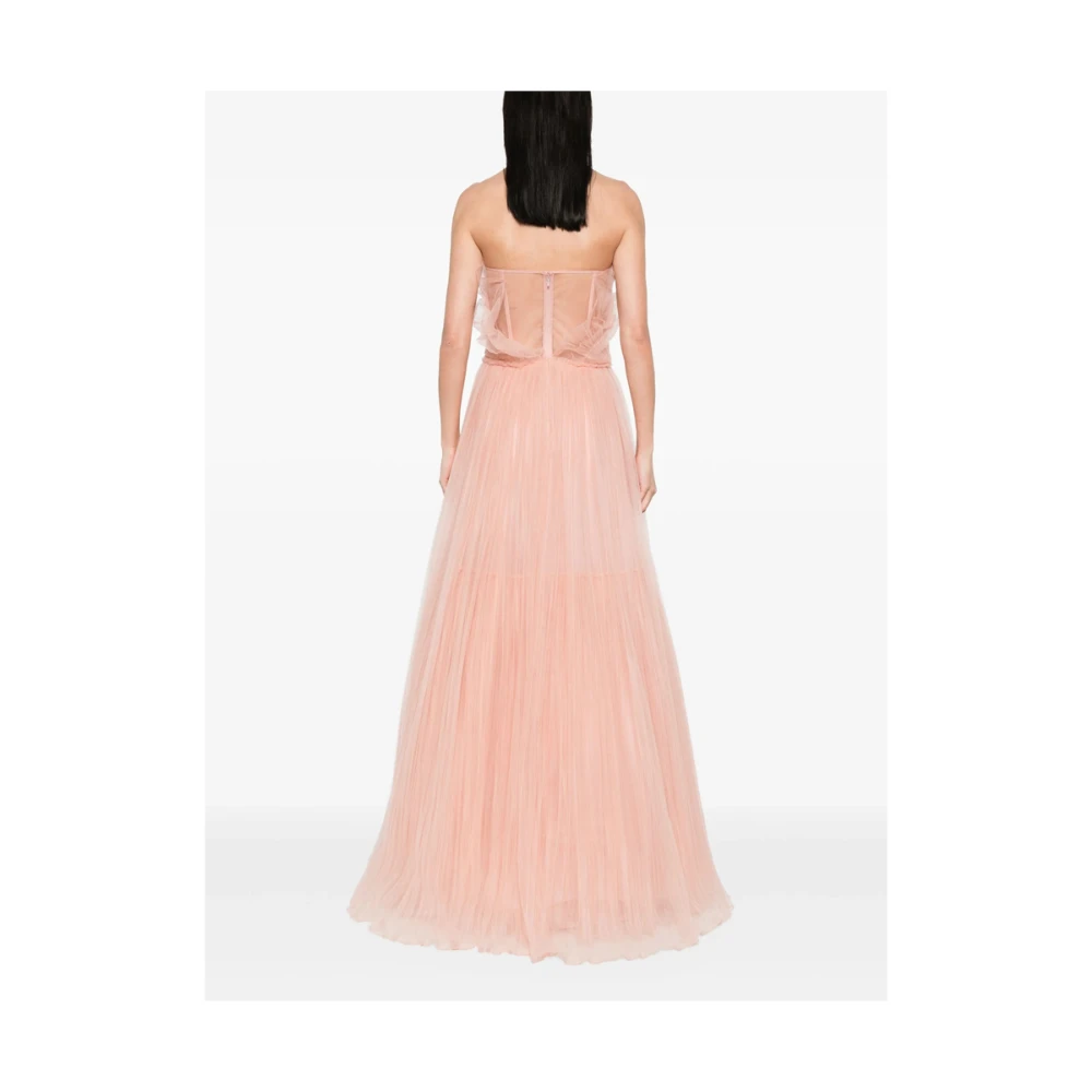 Costarellos Roze Mesh Panel Jurk Pink Dames
