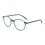 green-havana-eyewear-frames