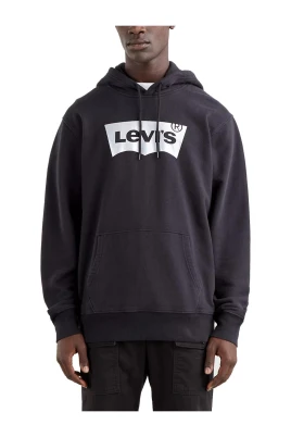 Standard Graphic Foil Hoodie