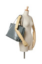 pre-owned-coated-canvas-sacs-main