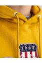 vintage-shield-hoodie