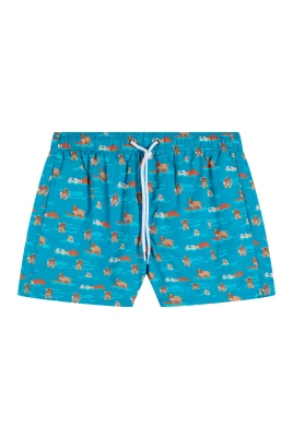 Turkosa Boardshorts för Män
