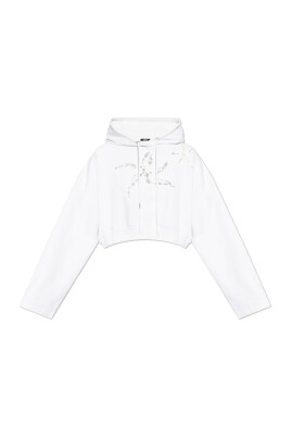 sweat-a-capuche
