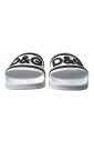 elegant-white-logo-slides