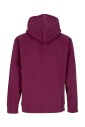 premium-bold-hood-fleece-sweatshirt