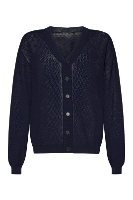 blue-v-neck-sweater-regular-fit