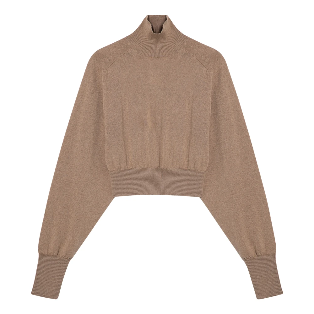 SPORTMAX Stijlvolle Coltrui Trui Brown Dames