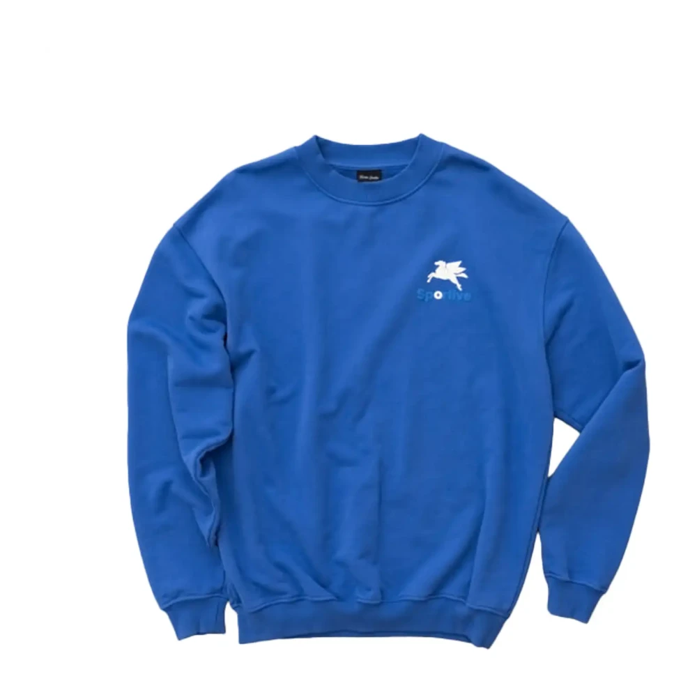 Goodies Sportive Homme Bleu Sweatshirts Et Sweats À Capuche, Taille: M Sweat-Shirt Premium Élégant Et Confortable