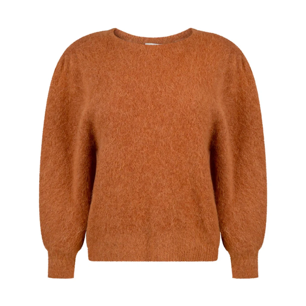 Aaiko Denize Pullover Brown Dames