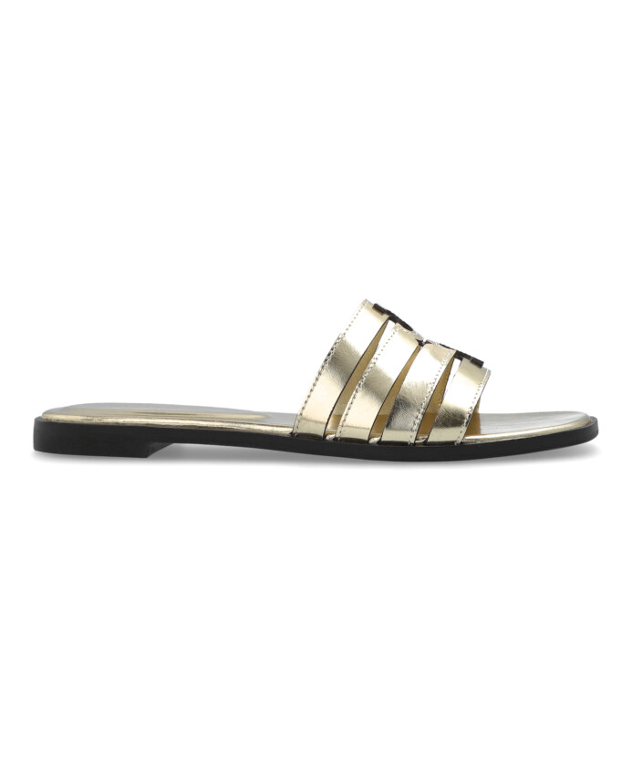 slides-ines