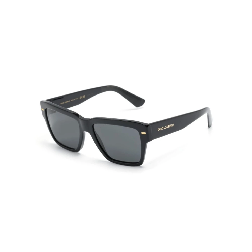 Dolce & Gabbana Dg4431 50187 Sunglasses Svart Herr