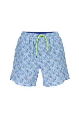 Swimming Boxer